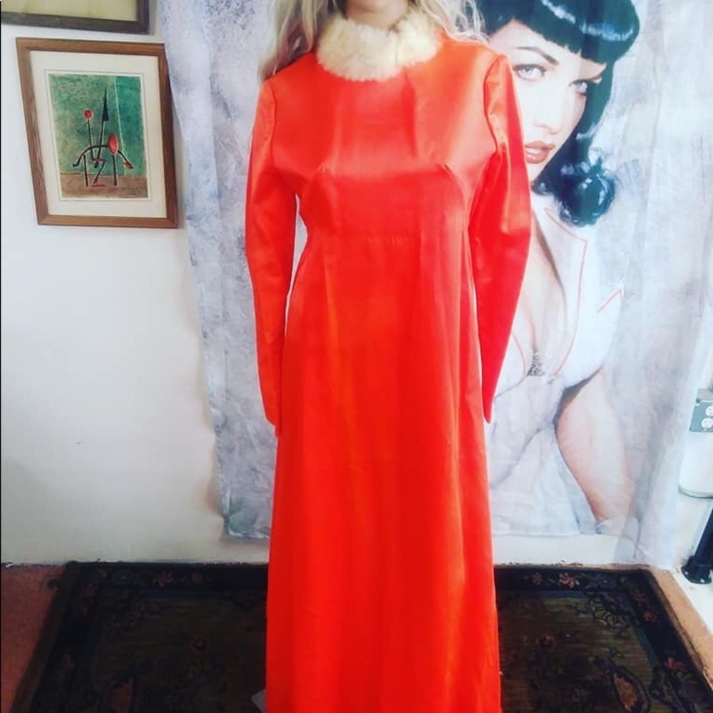 Stunning Vintage Rabbit Fur Collar Dress